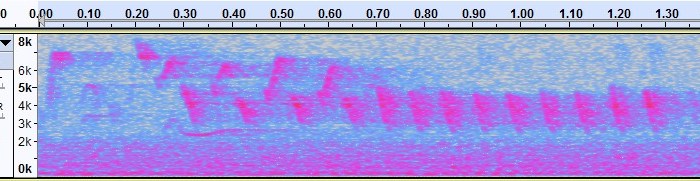 How to Identify a Bird from an Audio&nbsp;Recording